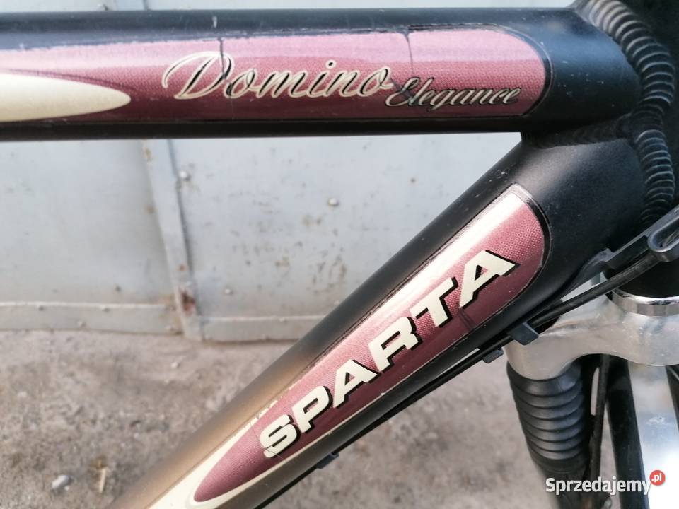 Rower Sparta Domino Elegance Wrocław