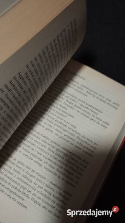 uroczy nicpoń Johanna Lindsey Poznań