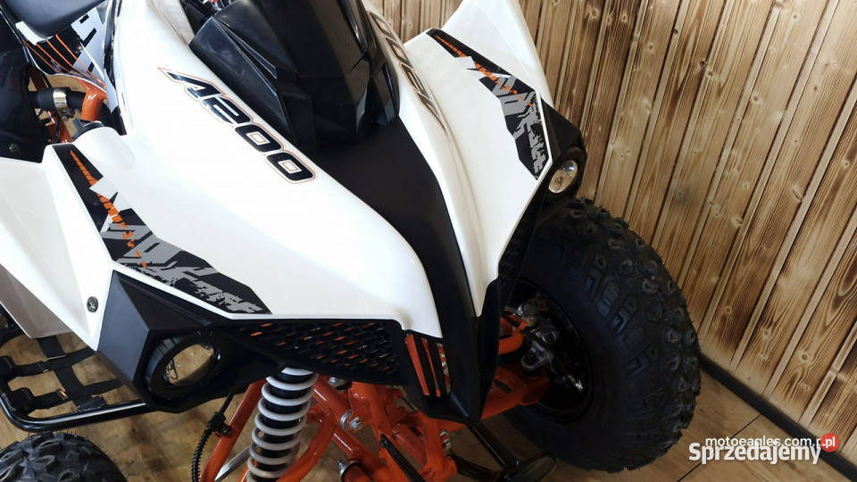 KAYO Inny SALON MOTOCYKLOWY MOTOEAGLES Kayo A pełny VAT Bicz