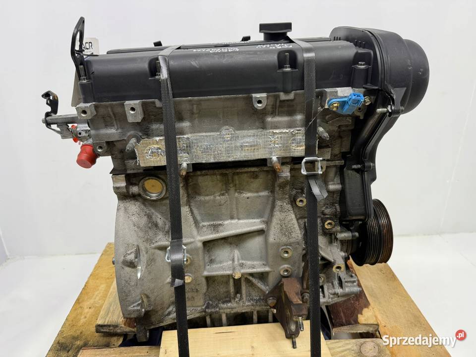 SILNIK Ford Focus II MK2 C C 16 16V 100 Chełm