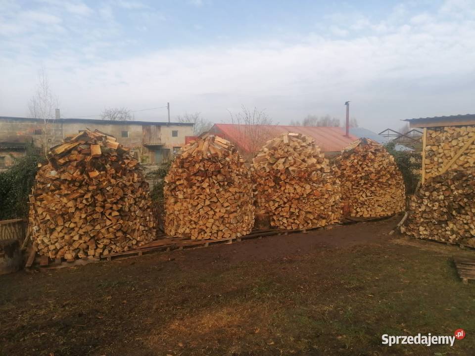 Drewno kominkowe jednoroczne 80 brzoza Rzgów