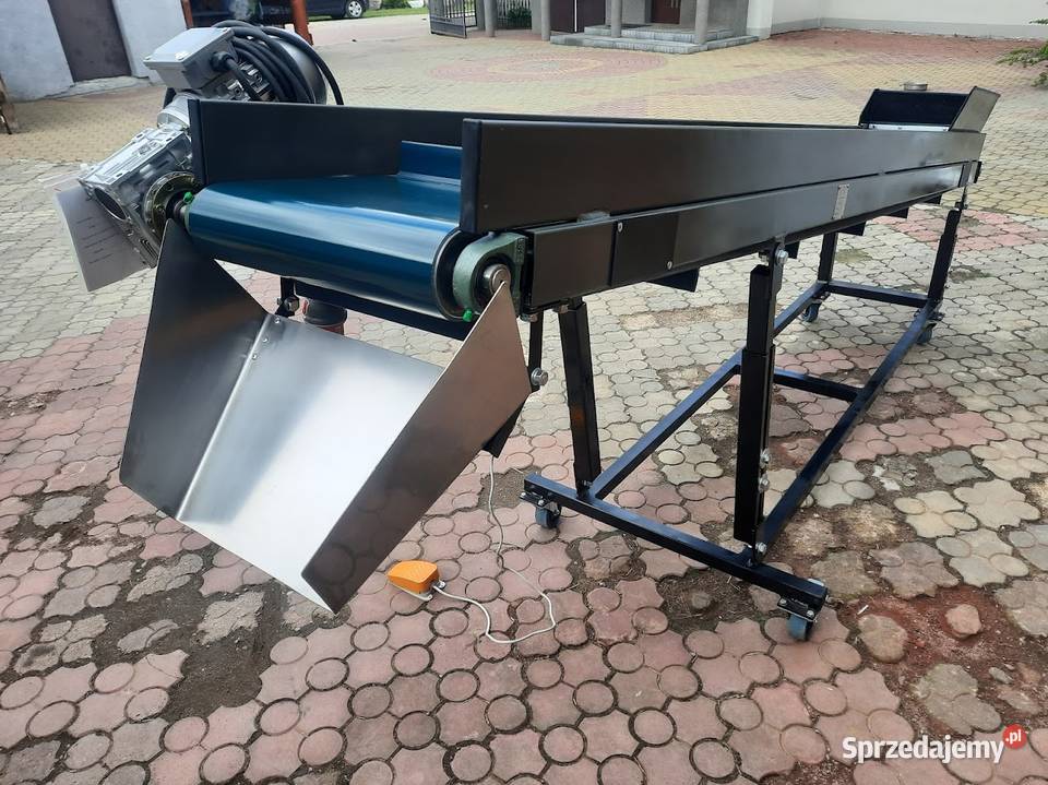 Taśmociąg przenośnik taśmowy do pakowania warzyw Łowicz