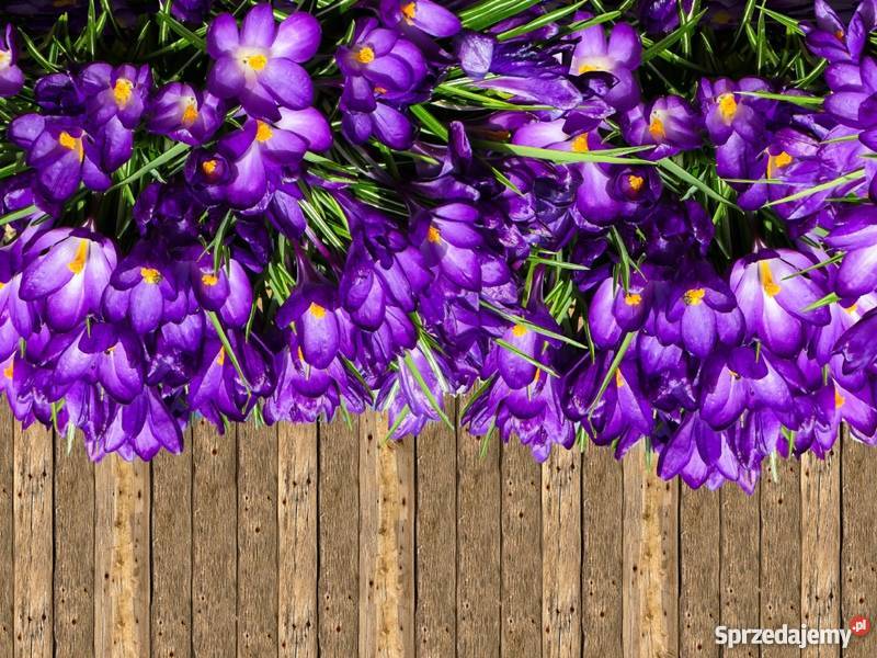 Osłony balkonowe na wymiar Mata balkonowa osłona śląskie