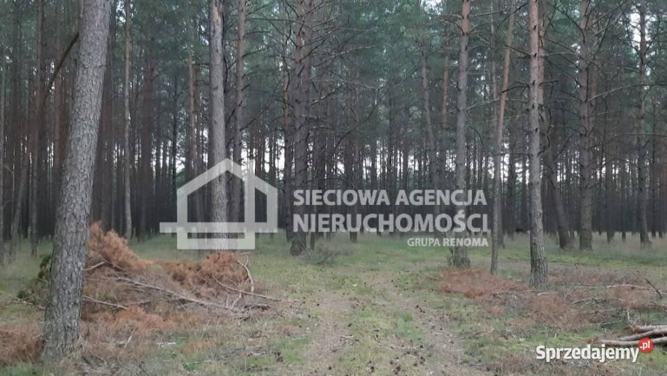 sprzedaży gruntu 63500m2 Wdzydze Tucholskie