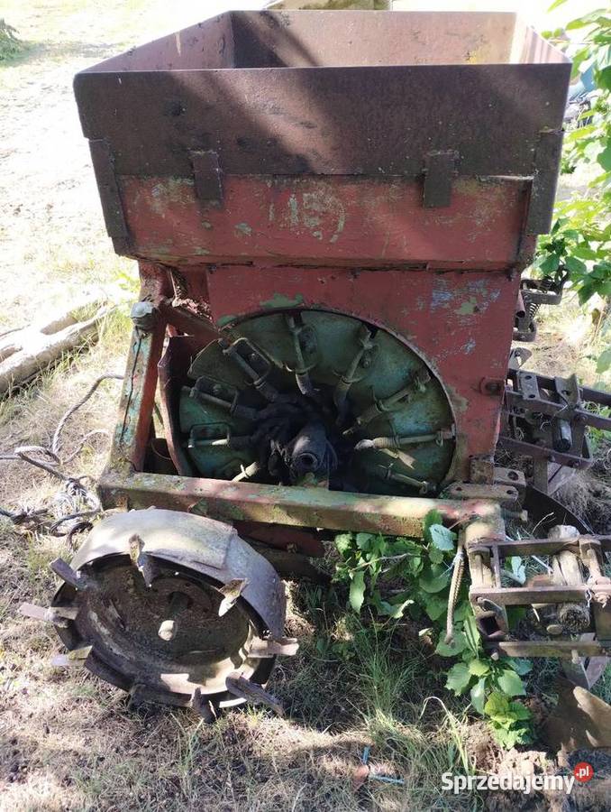 Sadzarka do ziemniaków Drożęcin-Lubiejewo sprzedam