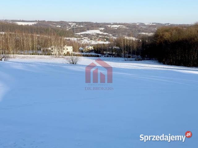 sprzedaży działki 3065m2 Chmielnik Sprzedaż