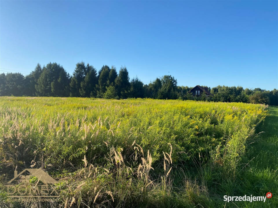 Działka 2500m2 Rybnik Sprzedaż Sprzedaż
