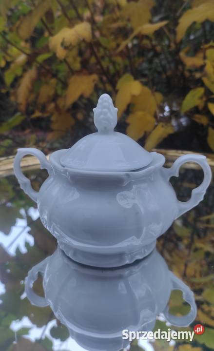 SECESYJNA CUKIERNICA Porcelana i szkło Pabianice