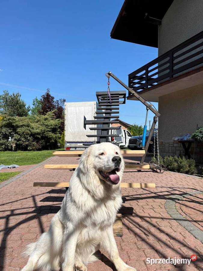 Okazja Schody metalowe stopnie dębowe gotowe Dom i Ogród Radłów