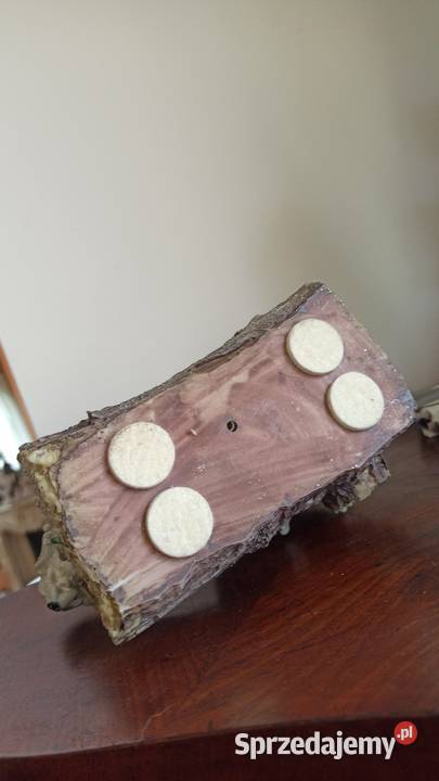 Figurka chłopca z psem Biskwitowa Piękna scenka Gdańsk