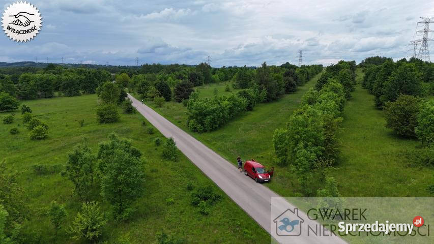 Działka 59500m2 Toporowice sprzedam