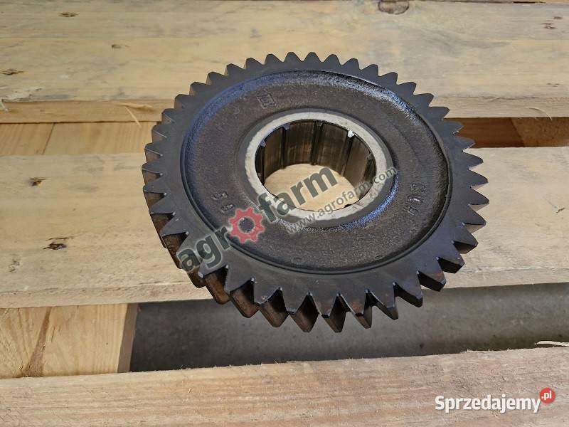 Koło zębate Massey Ferguson 6485 8210 Byków sprzedam