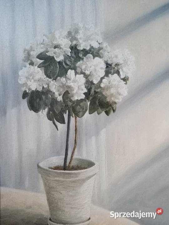 Obraz olejny 40x70 Azalia w donicy Przeworsk