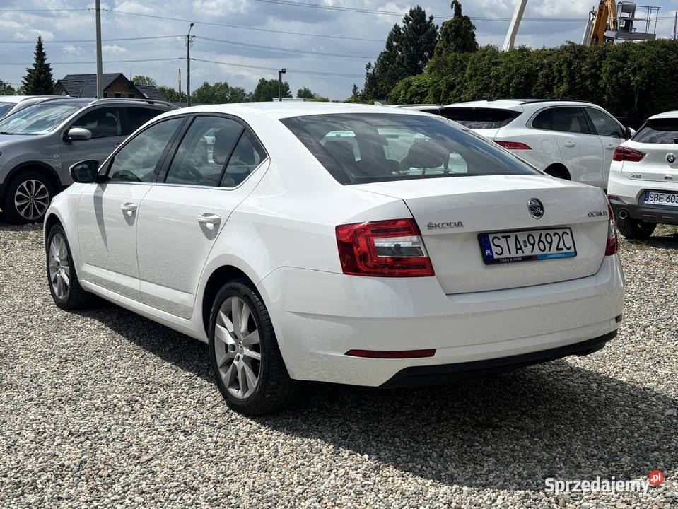 Skoda Octavia Paniówki