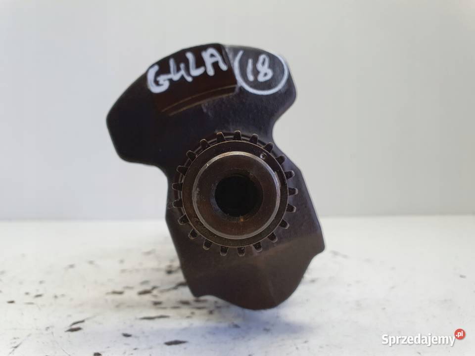 Hyundai i10 12 16V WAŁ KORBOWY G4LA Rudka sprzedam