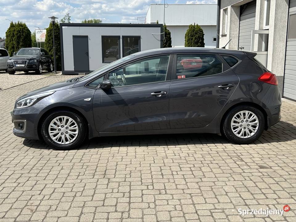 KIA CEED 16 Benzyna 136 Automat Salon Polska 193km Białystok