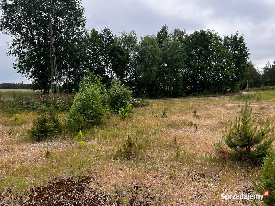 Działka budowlana sprzedam