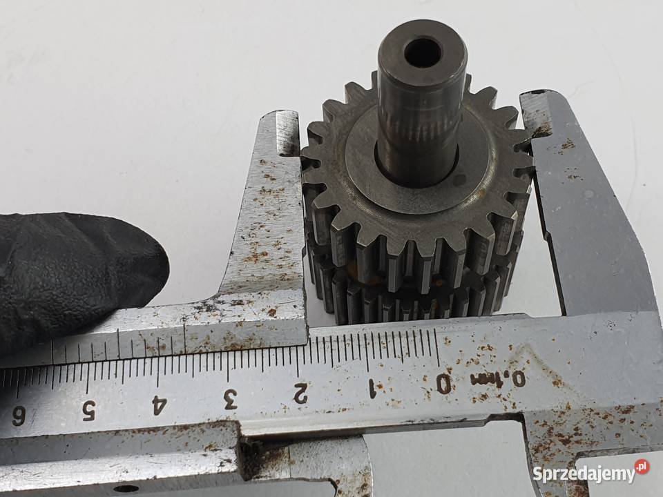 Tryb Zebatka Yamaha XVS 1300 MIDNIGHT STAR Łódź