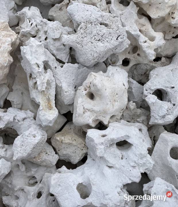 WAPIEŃ FILIPIŃSKI Biała Skała do Akwarium Malawi