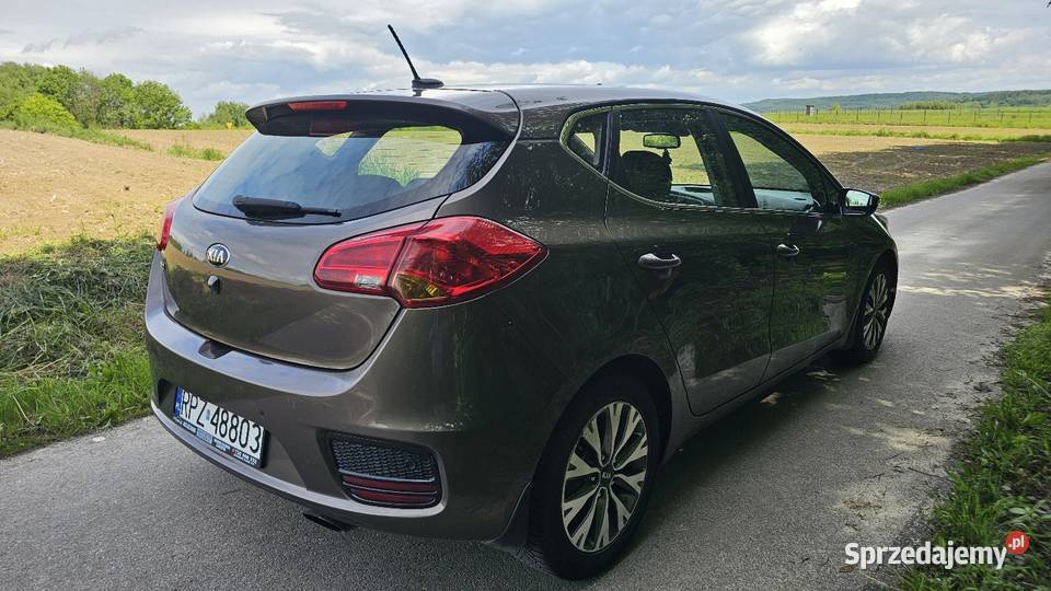 Kia Ceed 16 benzyna bezwypadkowy salon polska Jawornik Polski
