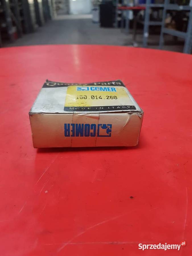 Krzyżak 229196 Sulechów