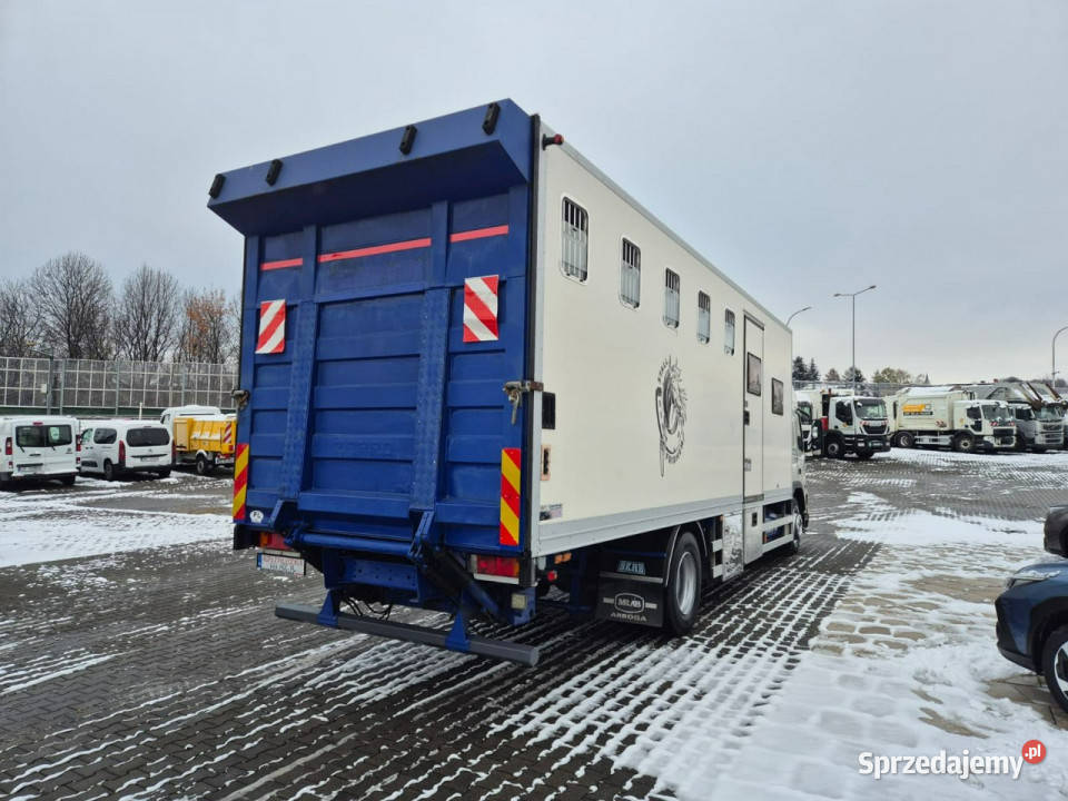 Volvo FM7 DO BYDŁA I KONI Volvo FM 7 DO PRZEWOZU Łaziska Górne