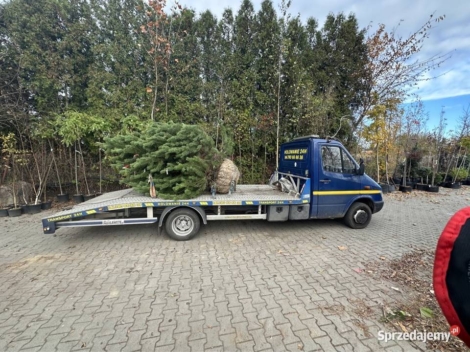 Pomoc Drogowa 24h Autolaweta Holowanie Wrocław
