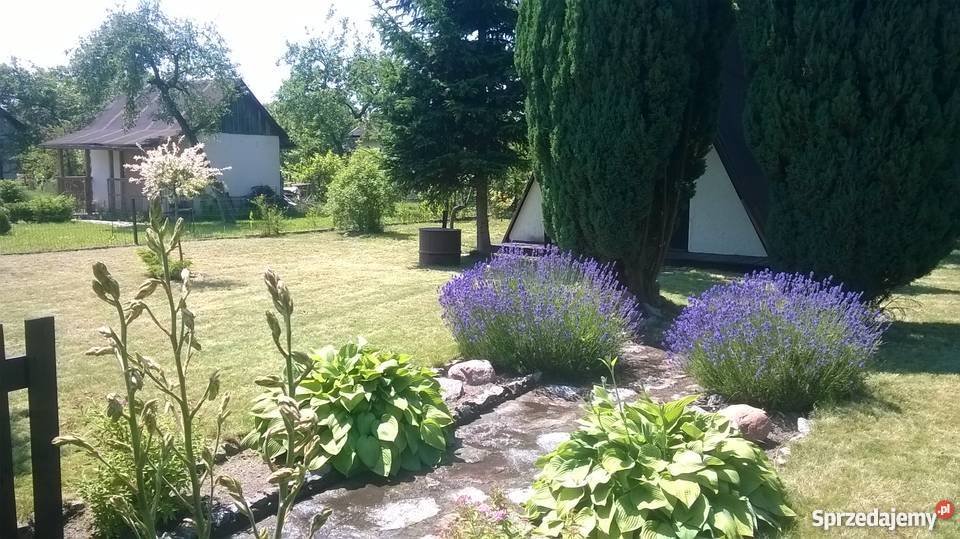 Działka rekreacyjna ROD Frezja Wrocław