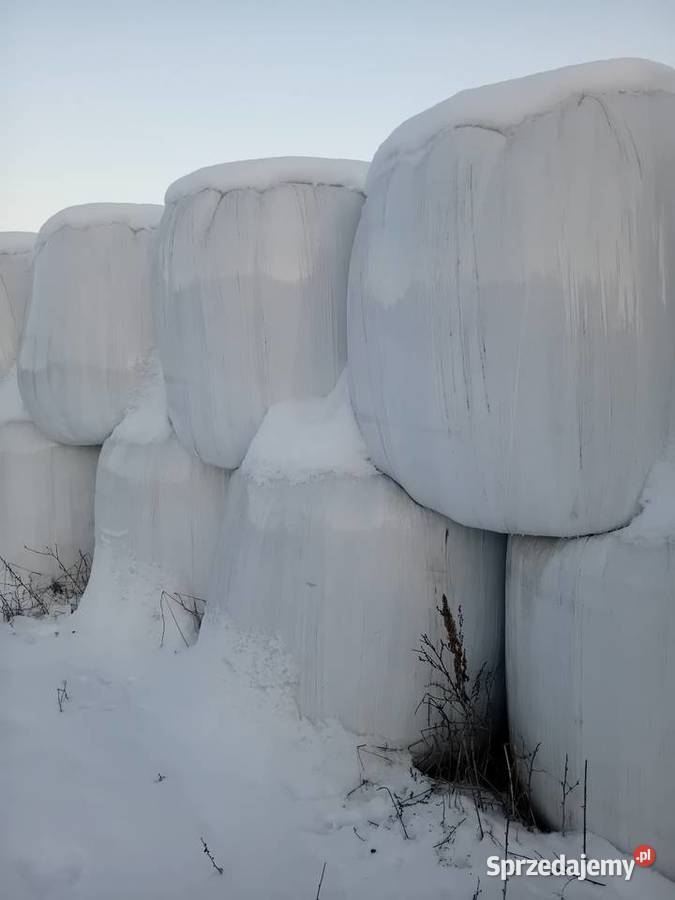 Sprzedam sianokiszonke Brudzewice