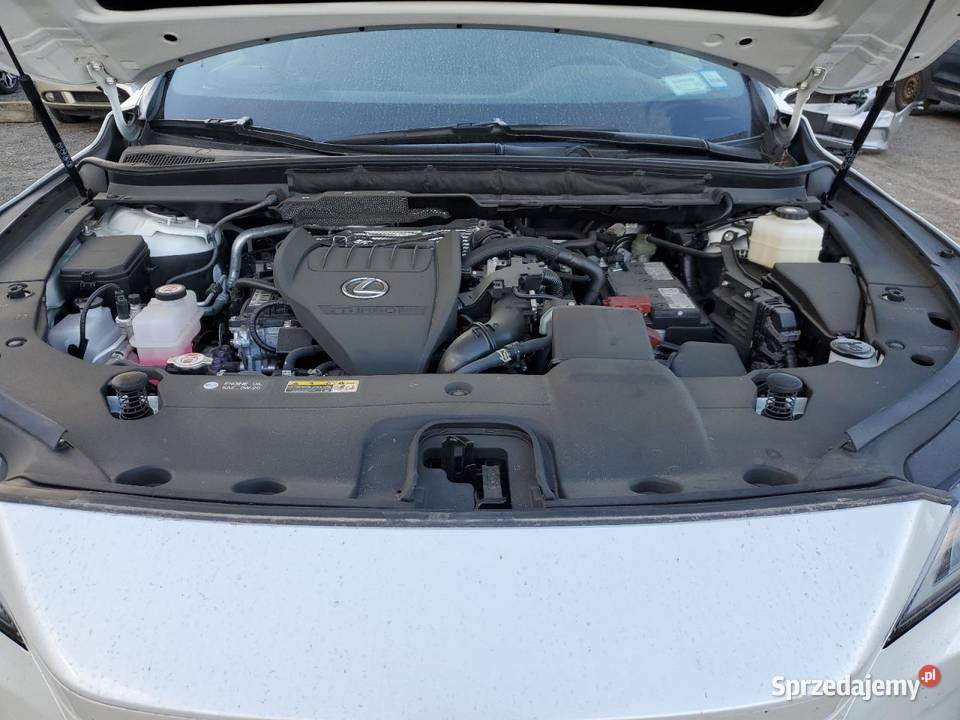 LEXUS RX 350 BASE 2023 Bełchatów