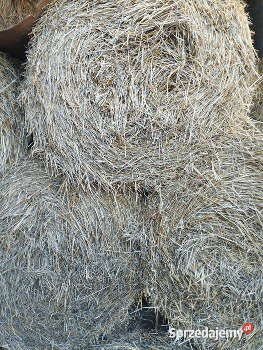 Sprzedam słomę Garbów