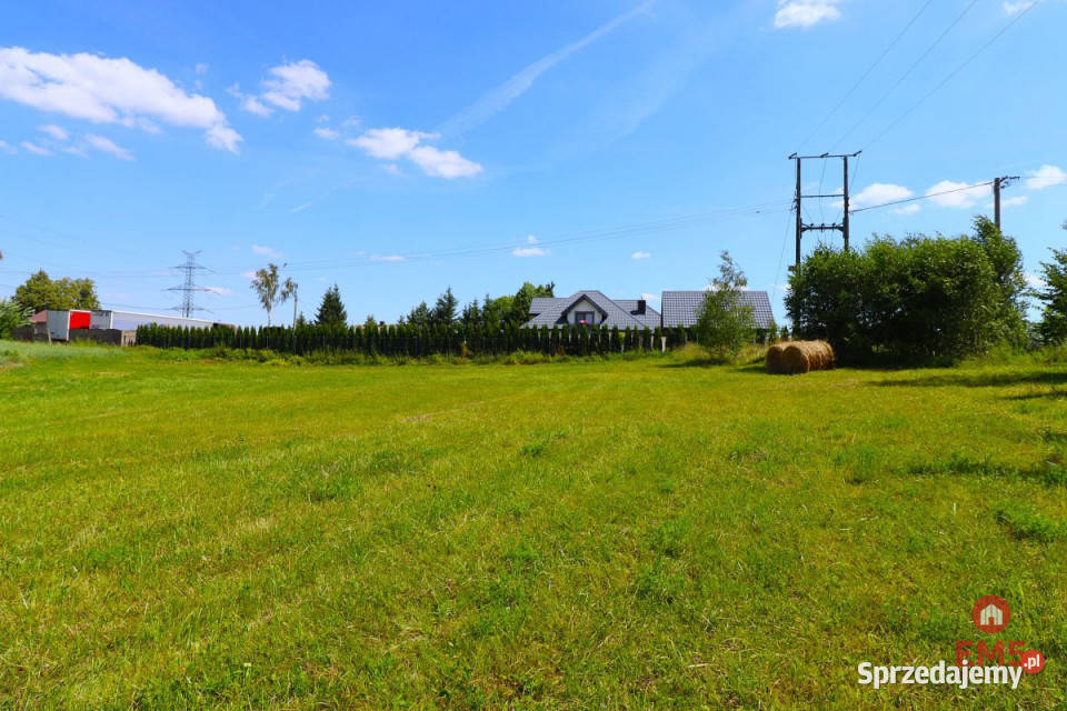 Działka Turówka Nowa 3000m2 podlaskie