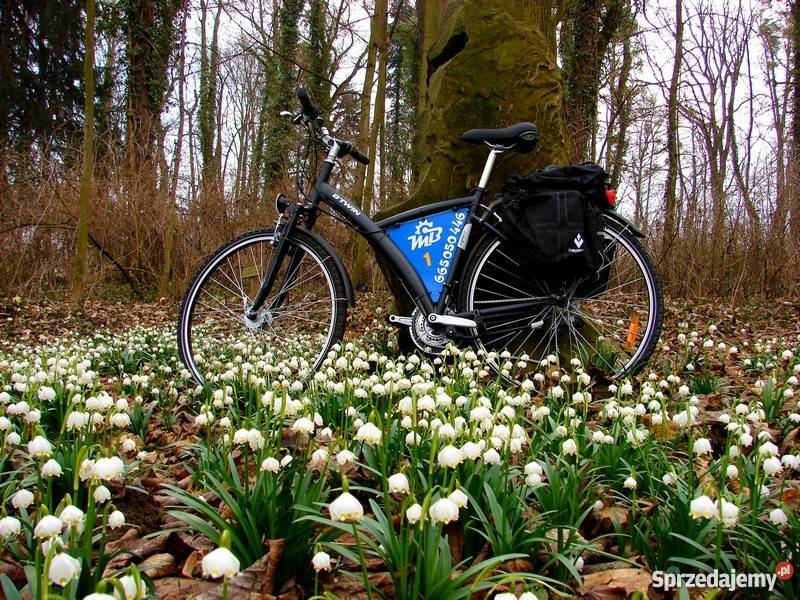 Sprzedam wypożyczalnie rowerów Sport i Wypoczynek dolnośląskie