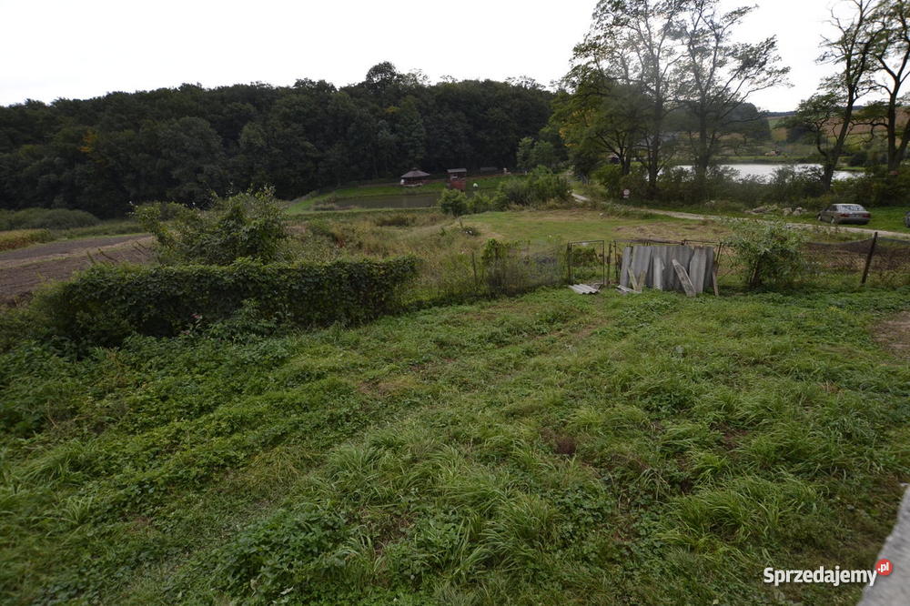 Dom z dzialką do sprzedam