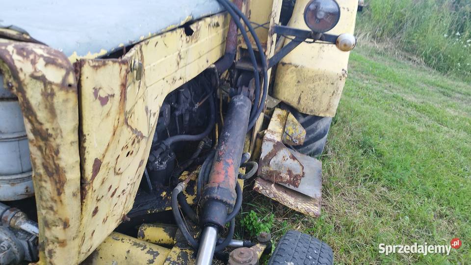 Ostrówek godny zakupu Nysa sprzedam