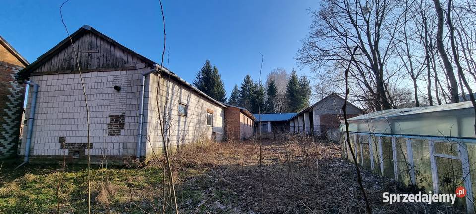 Syndyk sprzeda nieruchomość zabudowanej lubelskie Rożki-Kolonia