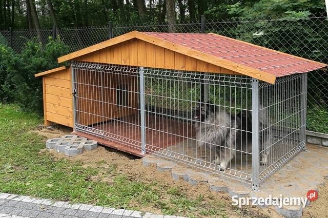 buda z kojcem kojec boks Piastów