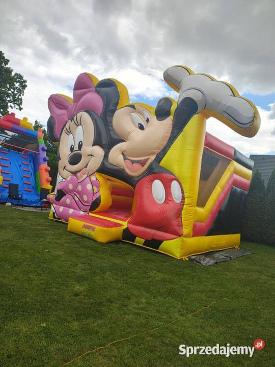 Dmuchaniec Myszka Zasole