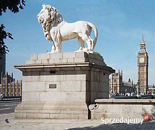 Replika Lwa lew The South Bank Lion 365 rzeźba z Szczecin