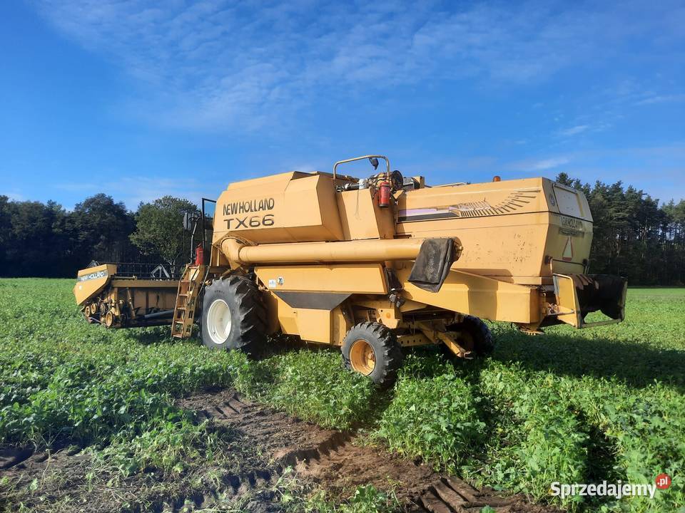 Kombajn Holland TX66 New Holland Sieraków Śląski