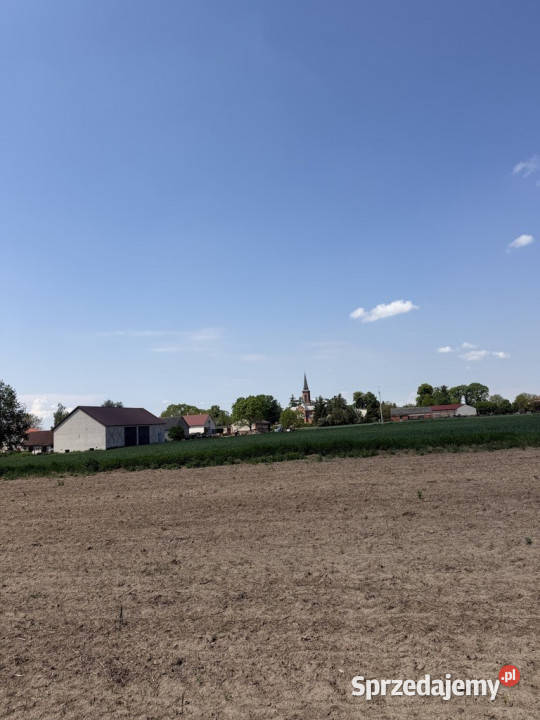 Siedlisko z lasem i łąką Zawady gm Kampinos
