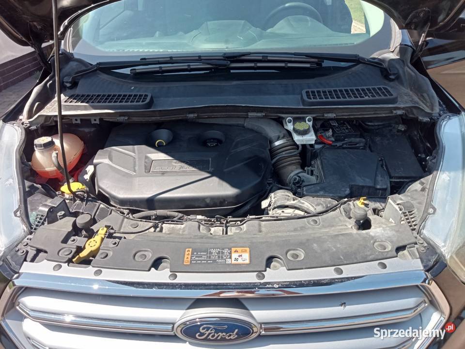Ford Kuga Escape Legionowo