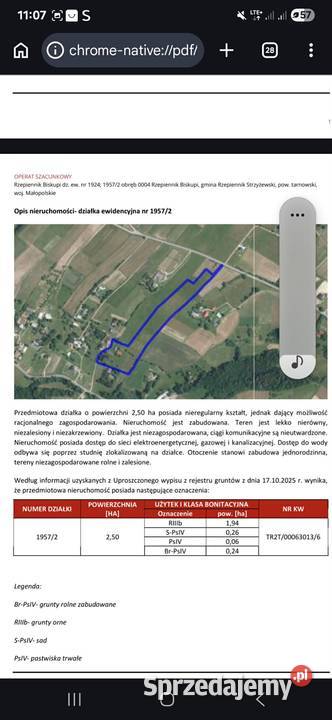 Sprzedam dom pole gospodarstwo las Rzepiennik Biskupi sprzedam
