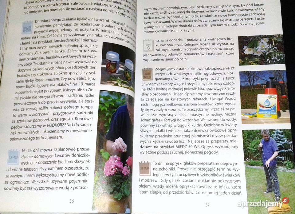 Wpływ księżyca 2019 Poradnik ogrodniczy Witold lubelskie Chełm