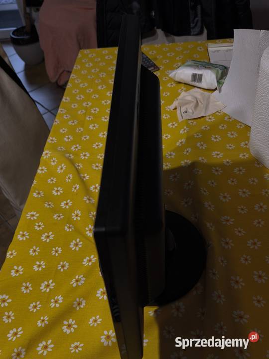 Monitor LG FLATRON W1941S śląskie Tychy