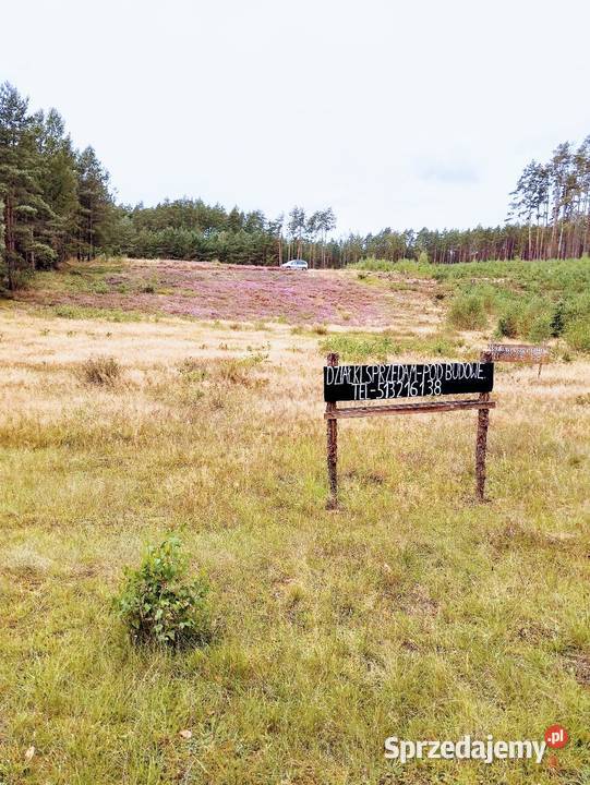 Sprzedam działkę 1204m Sominy sprzedam