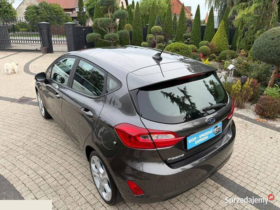 Ford Fiesta 10 EcoBoost Active ASS 95 2021r Krotoszyn