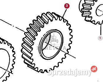 Massey Ferguson 3690 Wałek Zębaty Zębatka Jastrzębniki