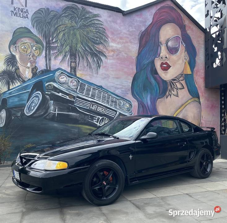 Ford Mustang SN95 manual Chomentów-Szczygieł