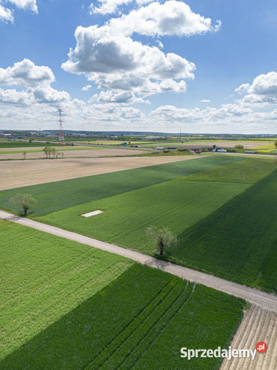 Wyjątkowa działka przemysłowa w Gołuskach 94m